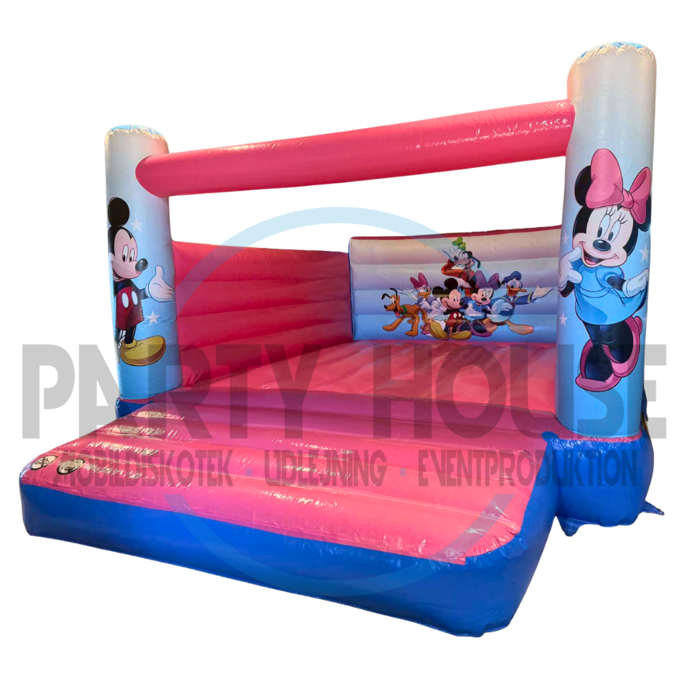 Lej Disney Hoppeborg 6X6 meter